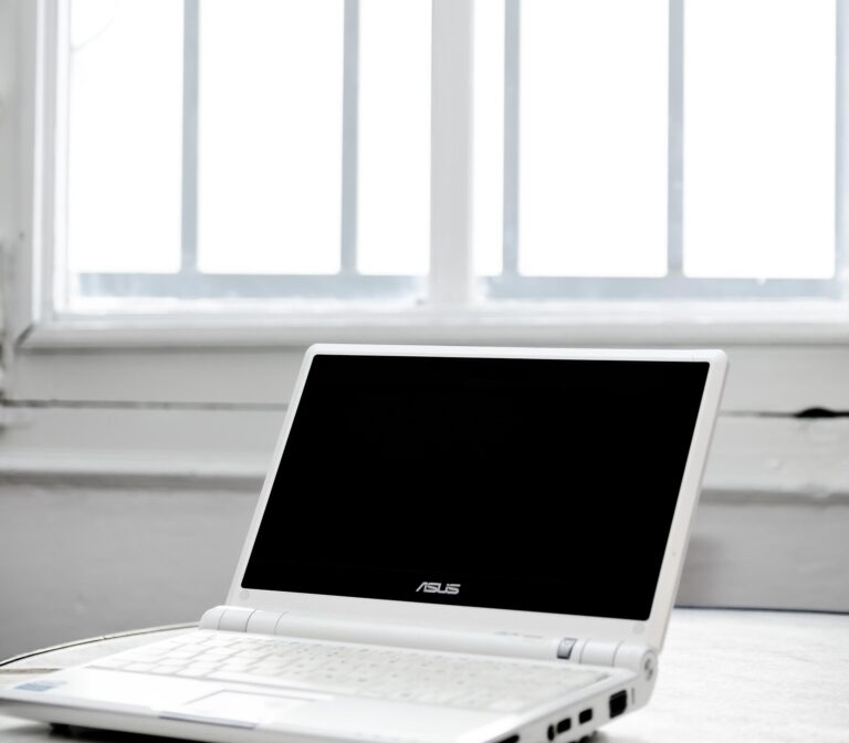 Portable 943417