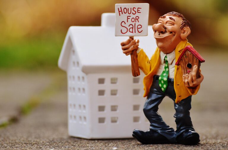 Real estate agent 1180176